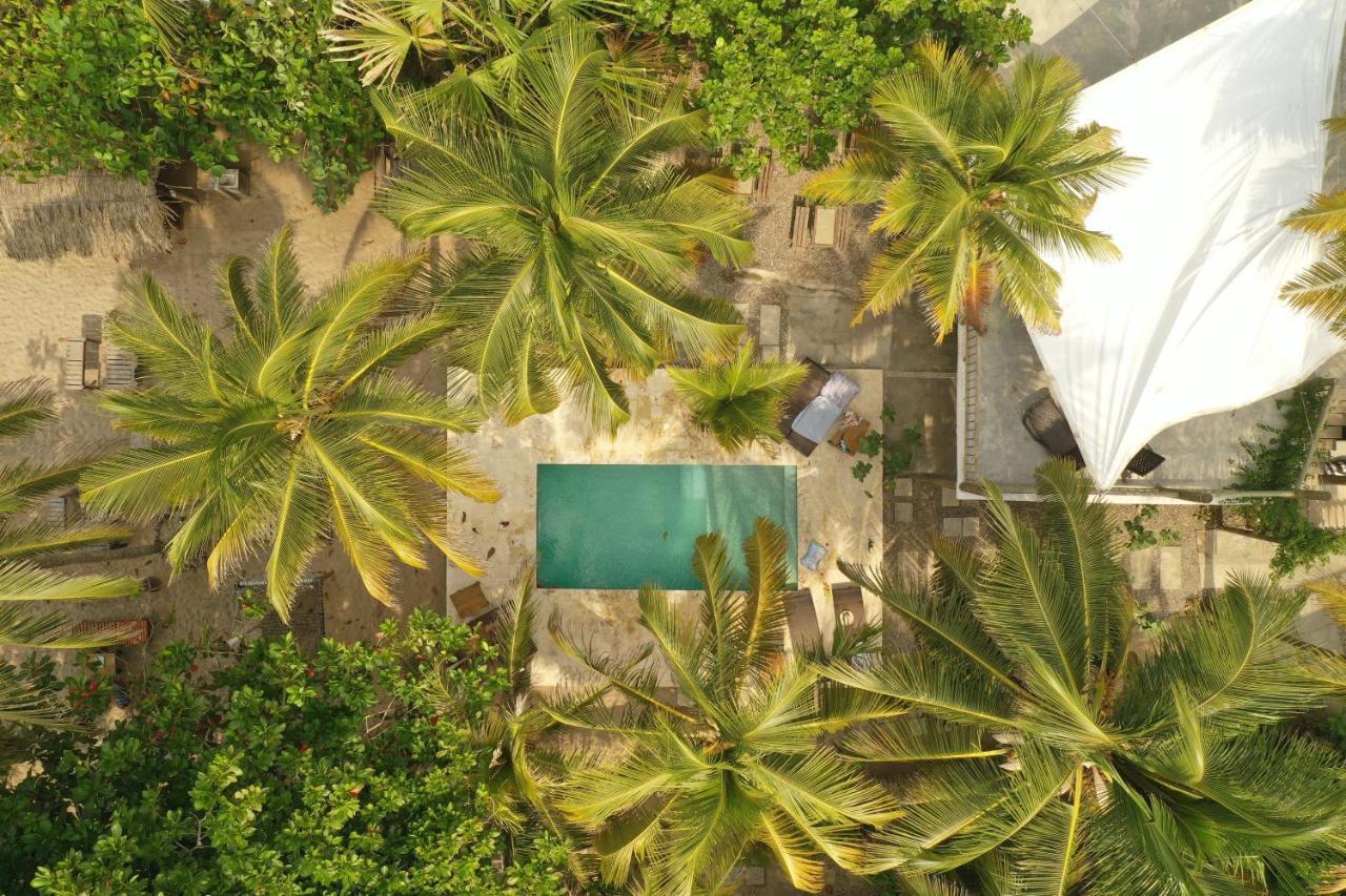 Hotel Casa Coraje Palomino